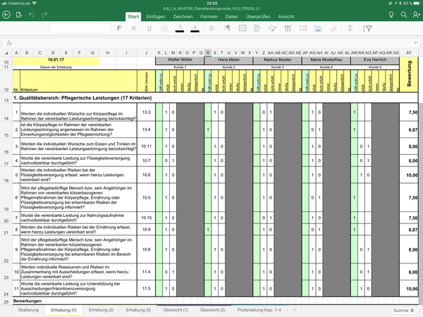 Dienstleistungsvisite inkl. Muster (Microsoft Excel®)