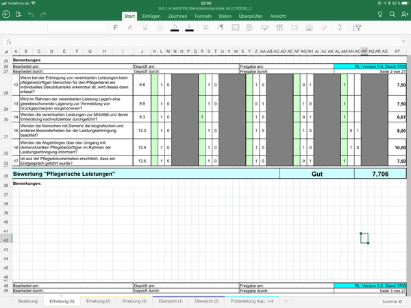 Dienstleistungsvisite inkl. Muster (Microsoft Excel®)